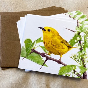 Yellow Warbler Note Cards
