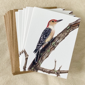 Red-bellied Woodpecker on a Pear Branch Note Cards