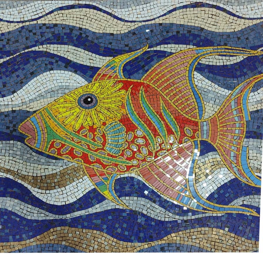 魚壁飾り モンガラカワハギ成魚［額装］在庫現品のみ❗️