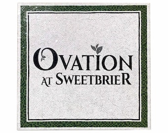 Custom Hand-Cut Tile Mosaic Entrance Floor for Businesses Bespoke Logo Inlay & Commercial Entryway Design with green tile border design