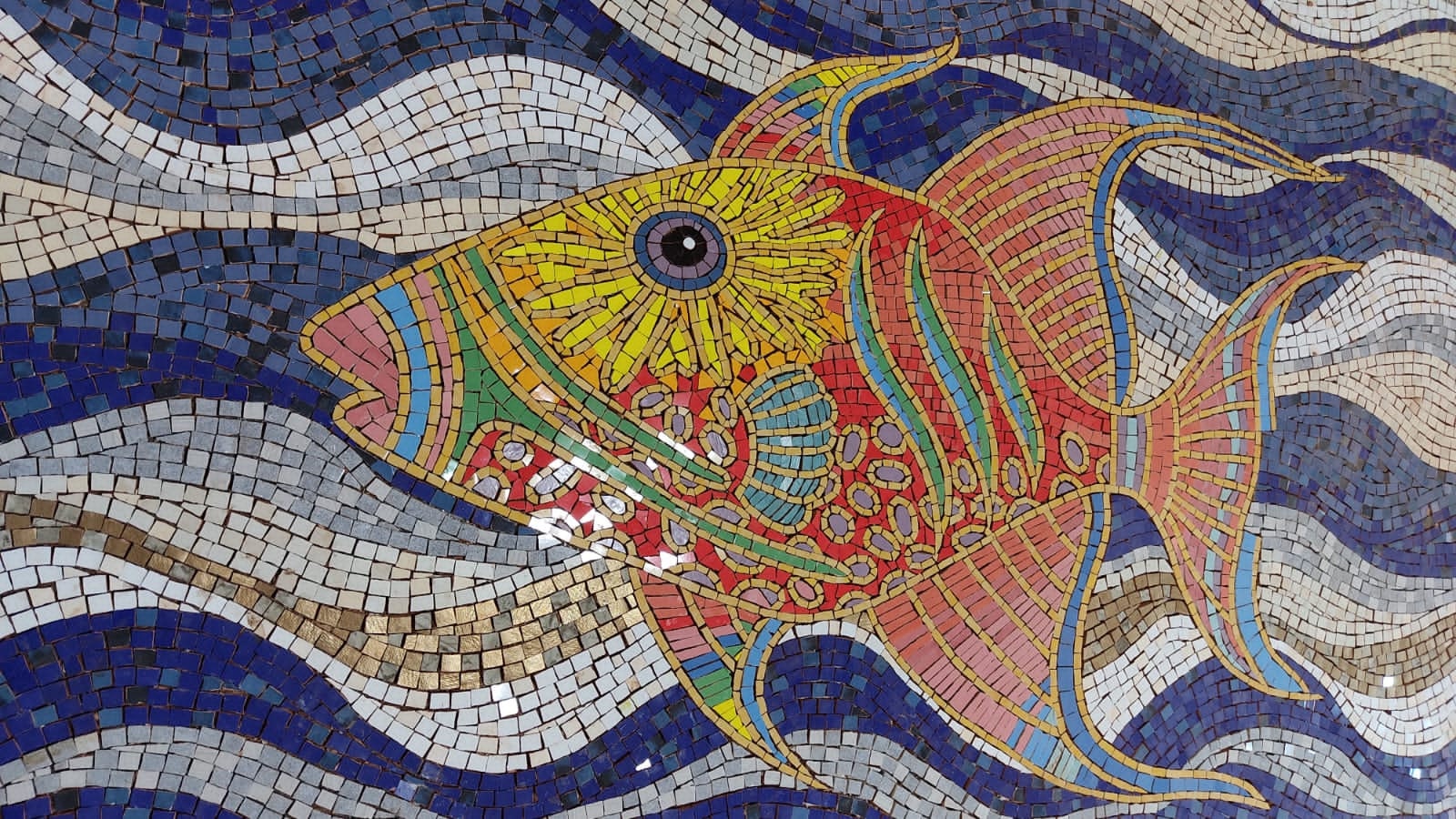 魚壁飾り モンガラカワハギ成魚［額装］在庫現品のみ❗️