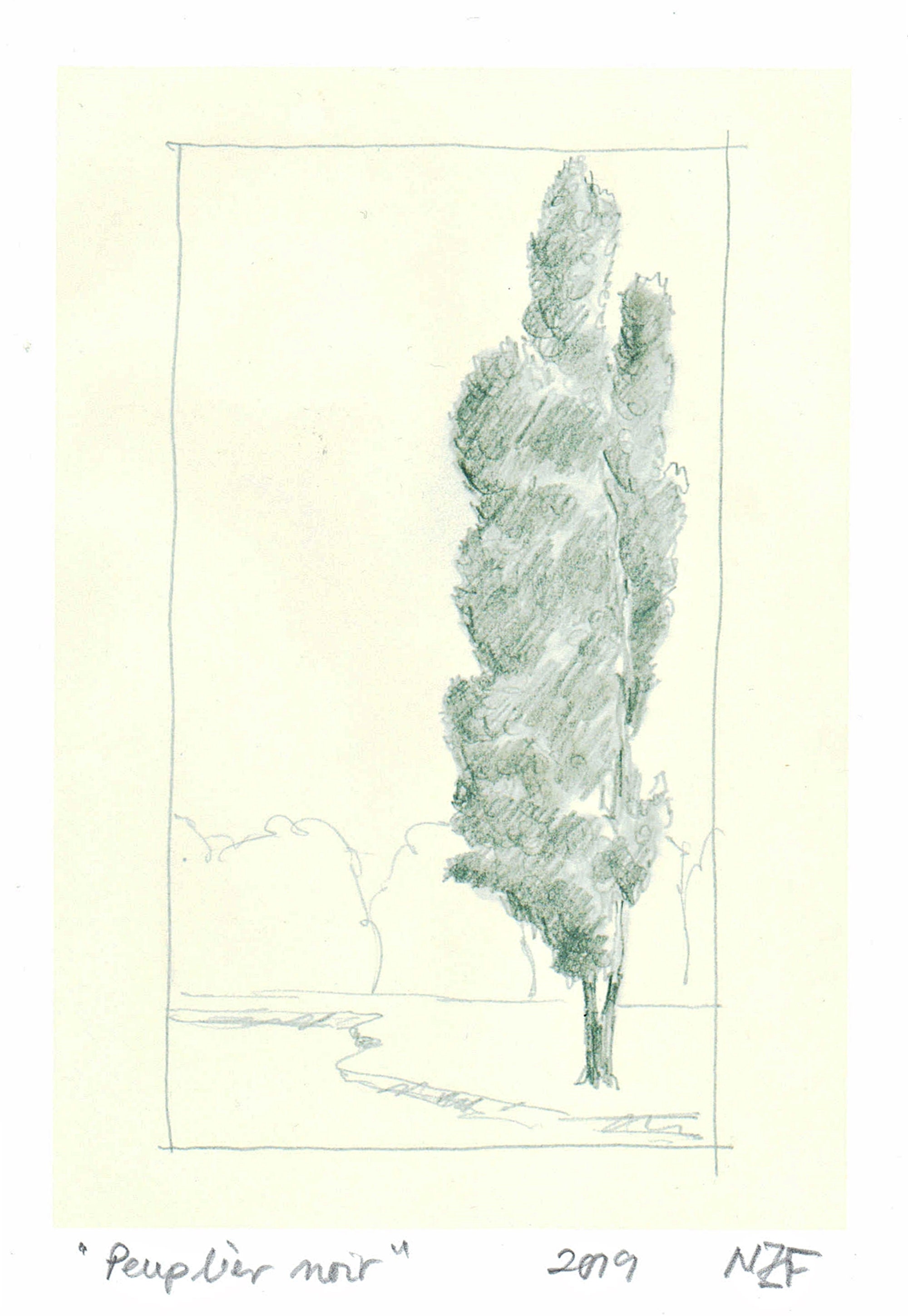 Trees Wall Art Pencil Drawing Print Wall Art Tree Wall Etsy Canada