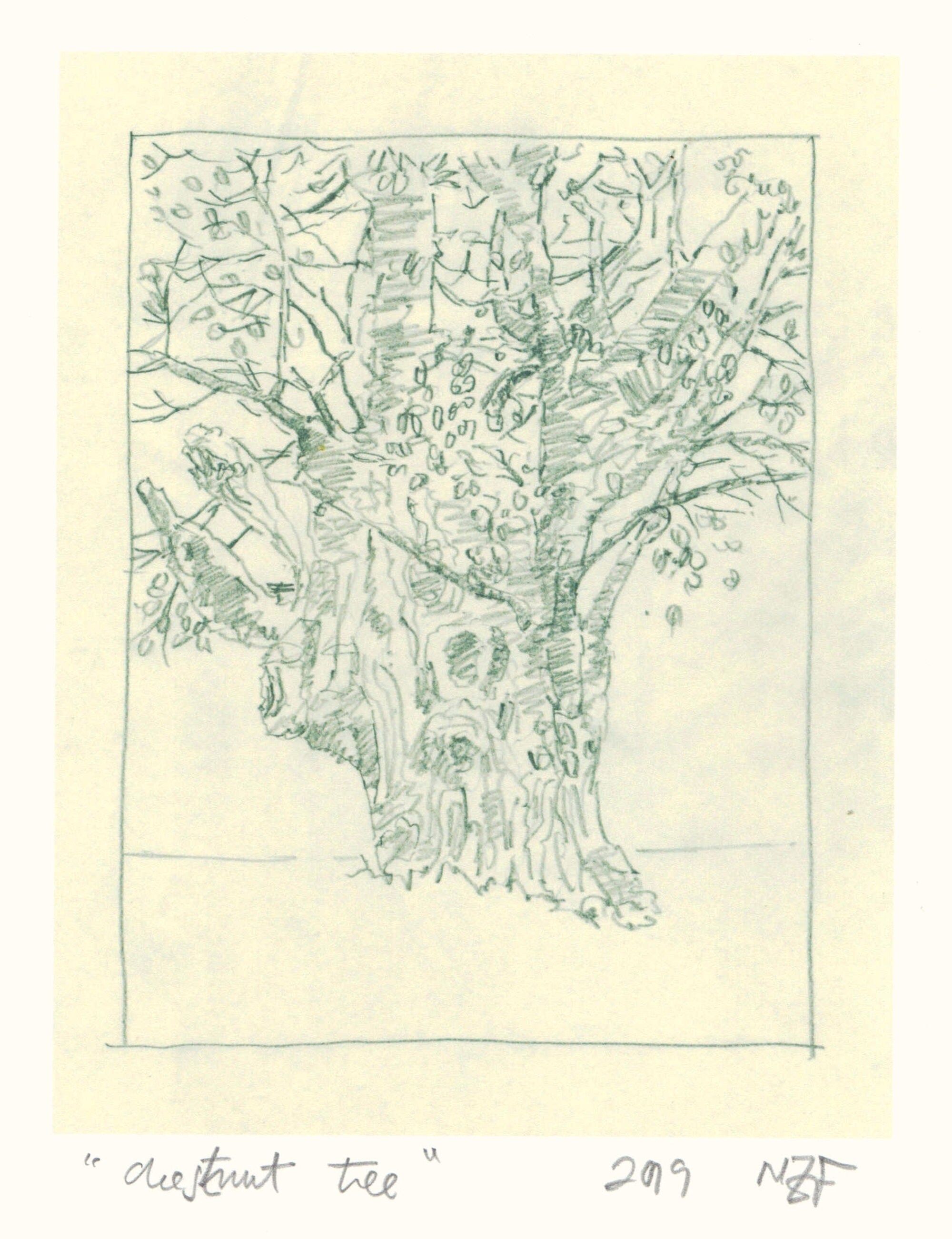 Trees Wall Art Pencil Drawing Print Wall Art Tree Wall Etsy Australia