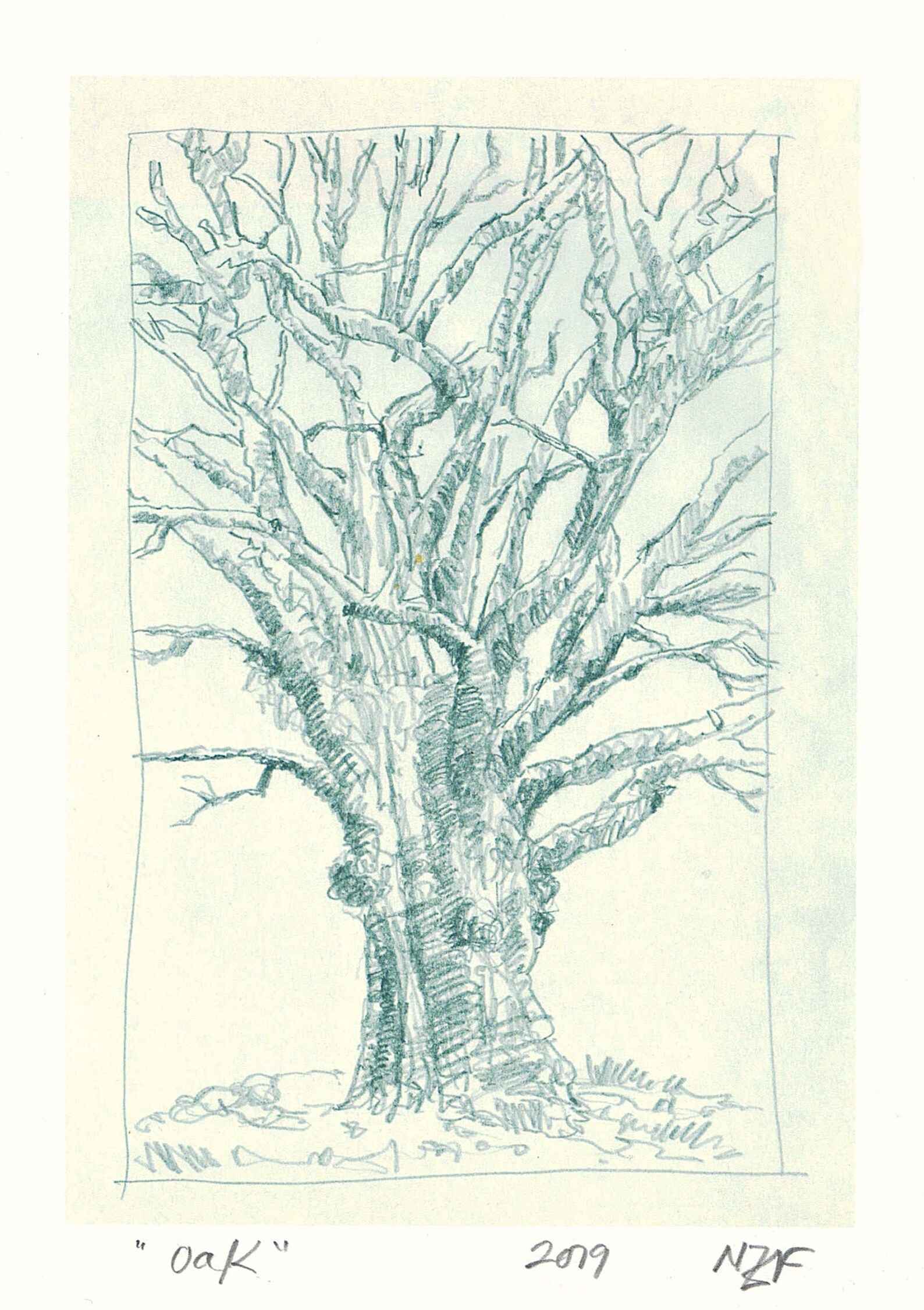 Trees Wall Art Pencil Drawing Print Wall Art Tree Wall Etsy