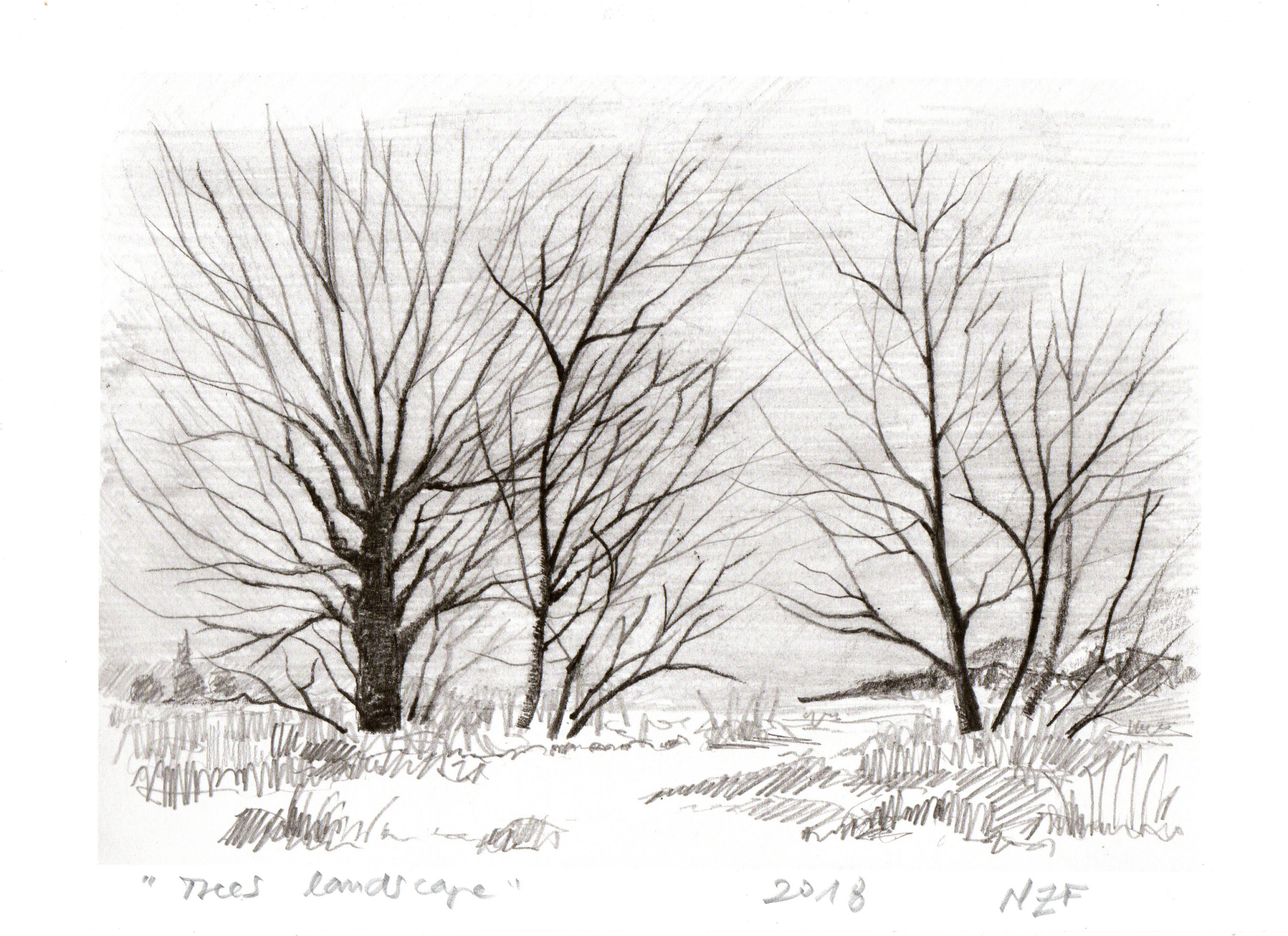 зимнее дерево рисунок карандашом. зимнее дерево рисунок карандашом. зарисовки зимних деревьев. зимнее дерево рисунок карандашом. наброски зимних деревьев.