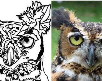 Great Horned Owl - Headshot