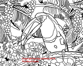 Toucan Portulaca - Rug Hooking Pattern