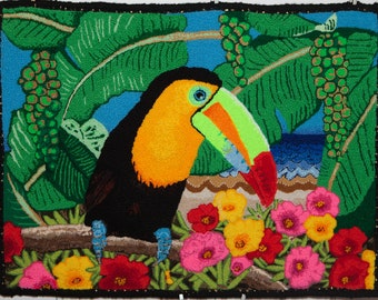 Toucan Portulaca