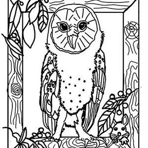 Puede incluir: Dibujo lineal en blanco y negro de un b&uacute;ho dentro de un marco de madera, con hojas y bayas en las esquinas. El b&uacute;ho tiene una cara en forma de coraz&oacute;n, ojos grandes y un pecho punteado. Un peque&ntilde;o rat&oacute;n es visible en la parte inferior derecha.