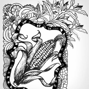 May include: Black and white line art drawing of an ear of corn with husks, surrounded by a decorative frame and floral designs.