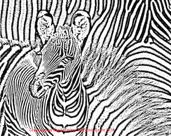 Baby Zebra with Mom - Rug Hooking Pattern