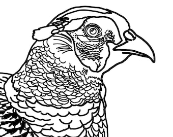 Pheasant - Rug Hooking Pattern