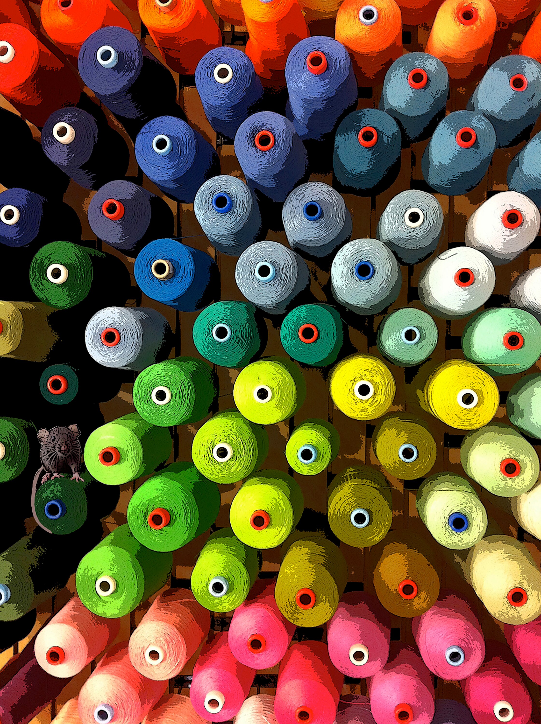 Spools of Yarn Etsy Canada