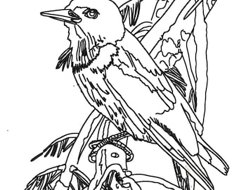 Red Headed Woodpecker - Rug Hooking Pattern