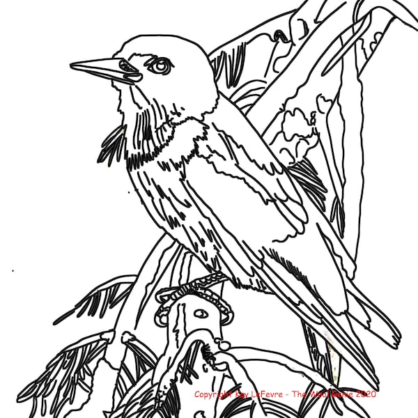 Red Headed Woodpecker - Rug Hooking Pattern