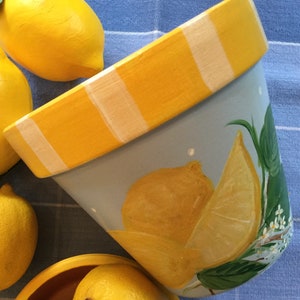 6&quot; Painted Clay Flower Pot with Lemon Pattern