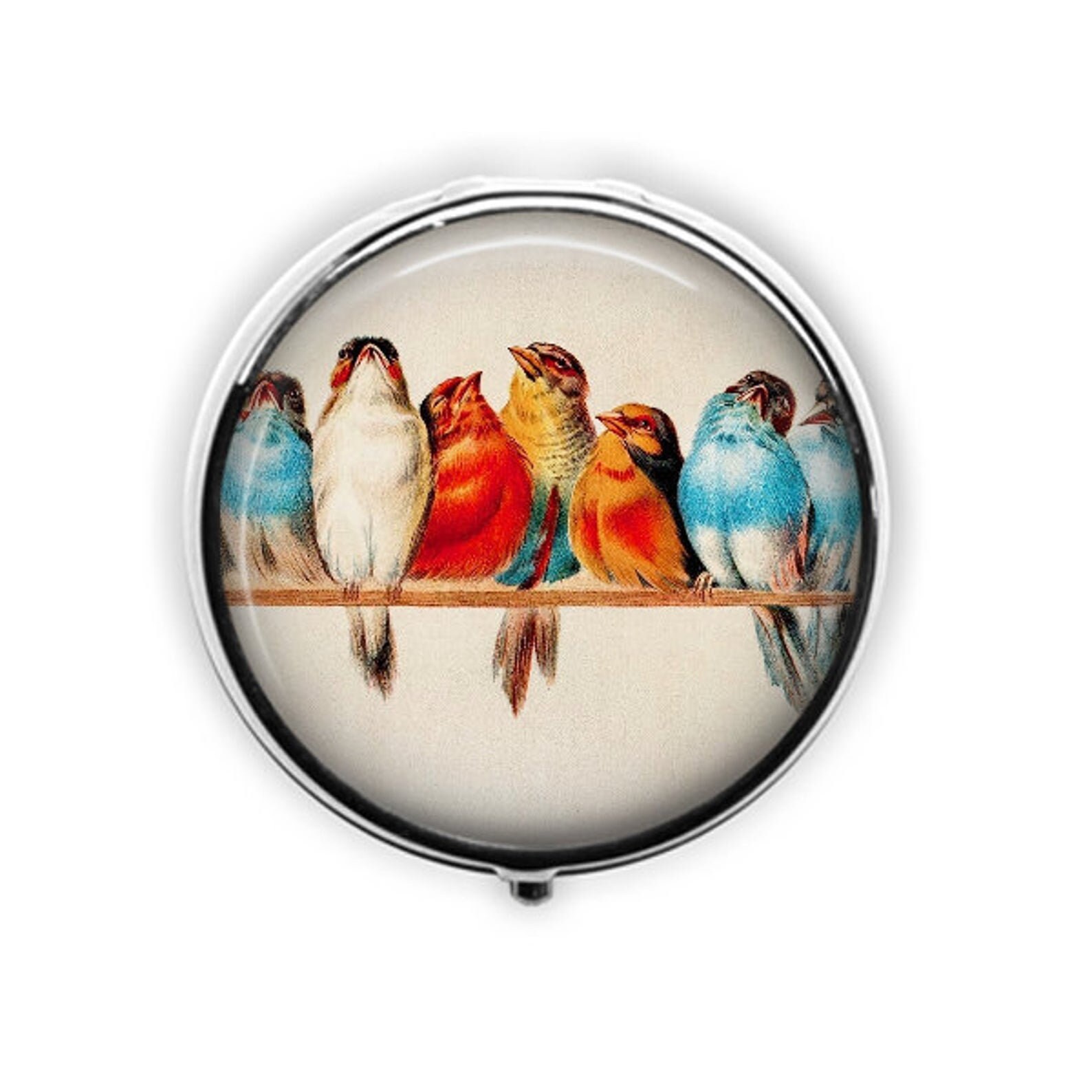 Bird pill box4 stylesCardinal pill caseGoldfinch travel Etsy