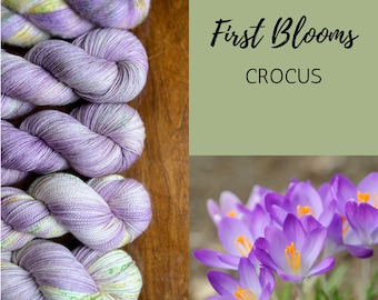 Hand Dyed Yarn: First Blooms - Crocus, Purple yellow green merino nylon yarn, fingering, dk, worsted yarn indie dyed