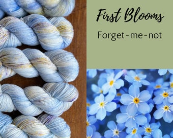 Hand Dyed Yarn: First Blooms - Forget-me-not, Blue Purple Yellow merino nylon yarn, fingering, dk, worsted yarn indie dyed