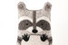 Raccoon - Embroidery Kit 