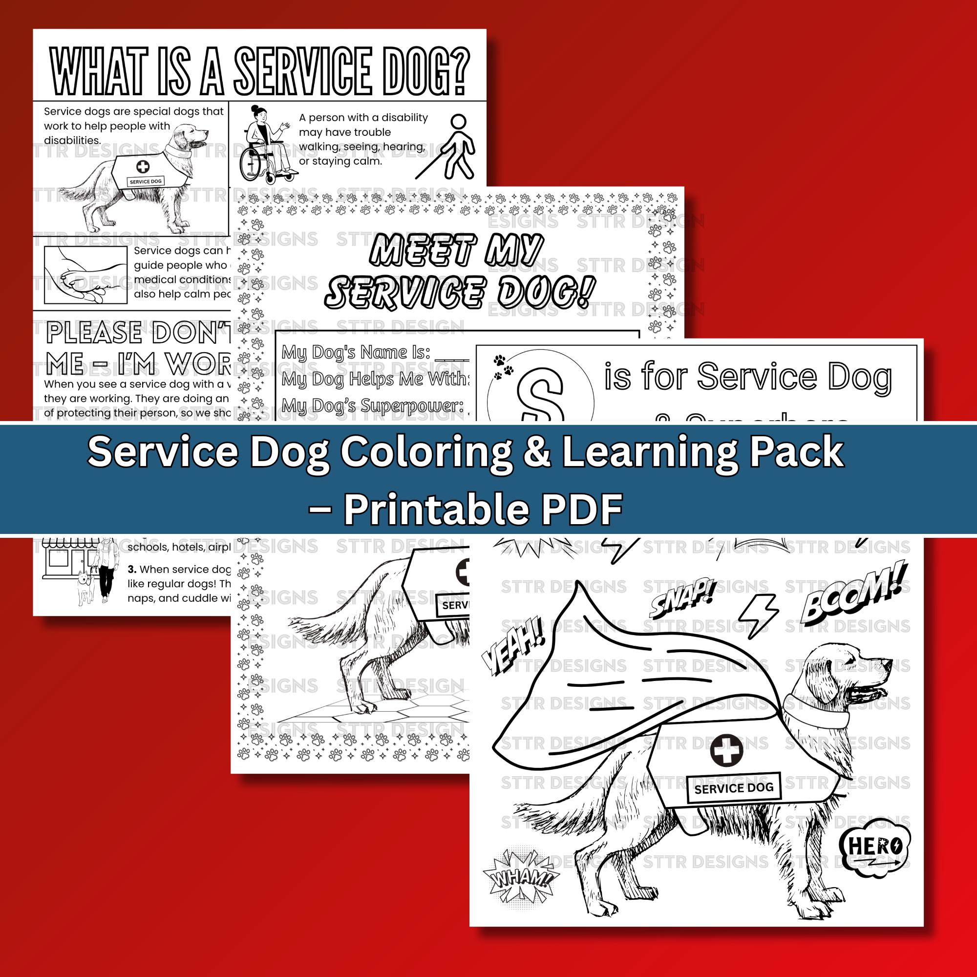 Service Animals Handout.pdf Service Dog Coloring Pages: Disability Awareness Activity (PDF Download ...