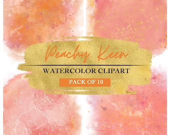 Perzik aquarel clipartbundel – Digitale spetterachtergronden | PNG&#39;s met glittertextuur | Perziktinten | Direct downloaden