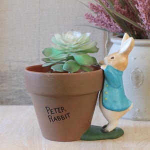 May include: A brown ceramic flower pot featuring a sculpted Peter Rabbit figure in a blue jacket attached to the side. The pot has the text Peter Rabbit printed in black on the front and contains a green artificial succulent plant.