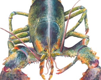 Maine Note Card-Lobster