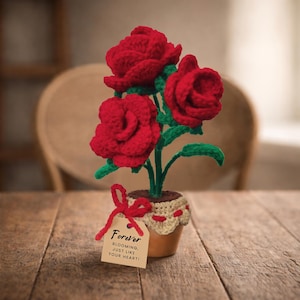 Rosa Häkelanleitung für Blumentöpfe + Geschenkanhänger (PDF-Muster)