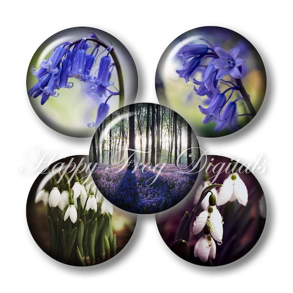 Snowdrops and Bluebells - 12, 14, 16, 18, 20 mm circles - Digital Collage Sheet - 425 HFD - Printable Download - Instant Download