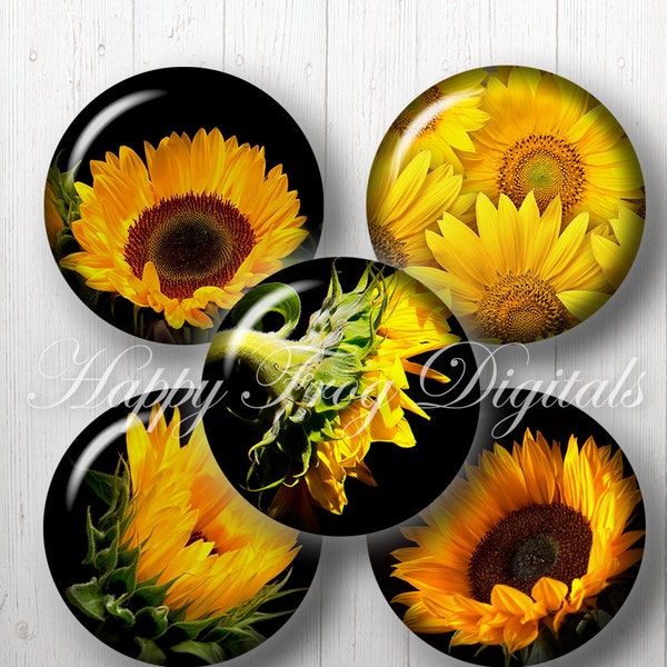 Sunflower - 12, 14, 16, 18, 20 mm circles - Digital Collage Sheet - 378 HFD - Printable Download - Instant Download