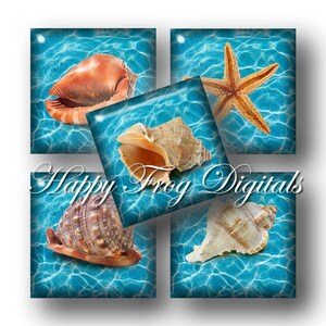 Sea Shells - 1.5&quot;x1.5&quot;, 1&quot;x1&quot;, 25x25 mm squares - Digital Collage Sheet - 431 HFD - Printable Download - Instant Download