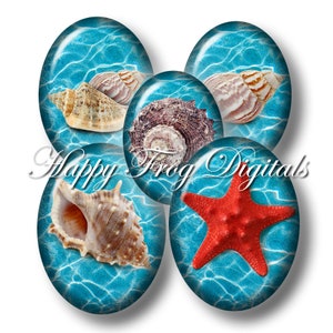 Sea Shells - 30x40, 18x25 and 13x18 mm ovals - Digital Collage Sheet - 432 HFD - Printable Download - Instant Download