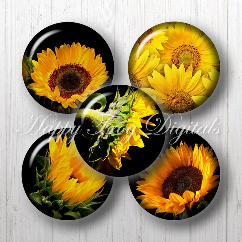 2 circles Compass Rose Instant Download Printable Download 271 HFD Digital Collage Sheet 2.5 2 circles Compass Rose Instant Download Printable Download 271 HFD Digital Collage Sheet 2.5