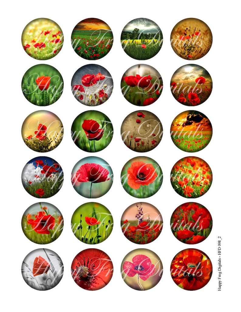 098 HFD Digital Collage Sheet 18 Printable Download Poppy field 16 14 12 Instant Download 20 mm circles