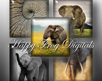 Elephants - 1.5"x1.5", 1"x1", 25x25 mm squares - Digital Collage Sheet - 184 HFD - Printable Download - Instant Download