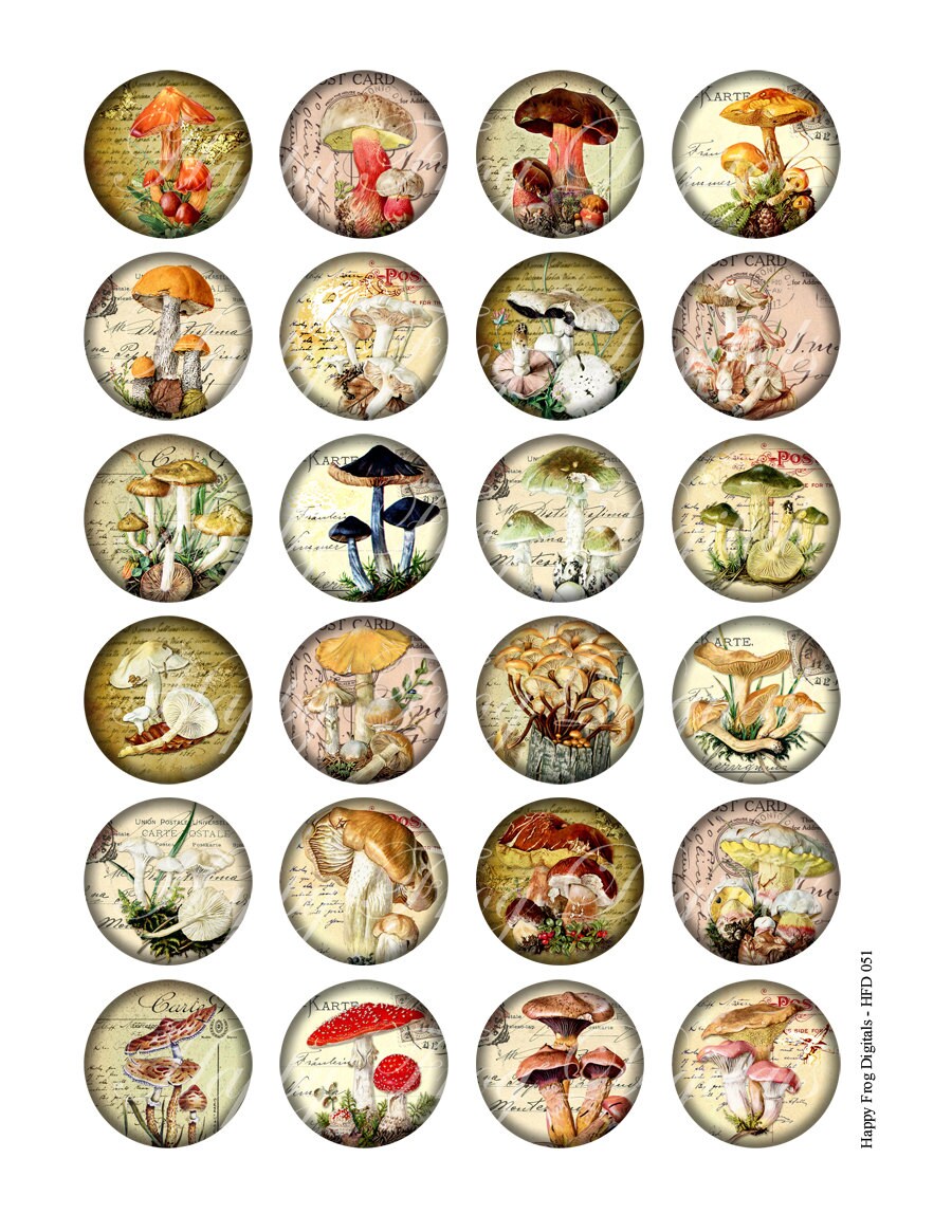 【希望者のみラッピング無料】 Mushrooms - 1.5 ラッピング・包装