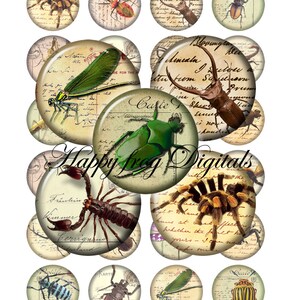Insects - 1.5&quot;, 1&quot;, 30 mm, 25 mm circles - digital collage sheet - 047 HFD - Printable Download - Instant Download