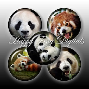 Osos panda - 1,5", 1", 25 mm, 30 mm círculos - hoja de Collage Digital - 198 HFD - descargar imprimibles - descarga inmediata