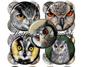 Owls - 1.5", 1", 25 mm, 30 mm circles - digital collage sheet - 039 HFD - Printable Download - Instant Download