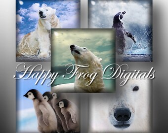 Polar bears and penguins - 1.5"x1.5", 1"x1", 25x25 mm squares - Digital Collage Sheet - 194 HFD - Printable Download - Instant Download