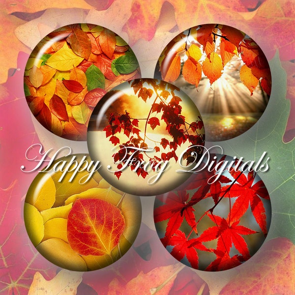 Autumn leaves - 1.5", 1", 25 mm, 30 mm circles  - digital collage sheet 116 HFD  - Printable Download - Instant Download