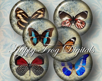 Puede incluir: Seis cabujones redondos de vidrio decorativos con un fondo vintage y desgastado que presenta diseños de mariposas coloridas. Las mariposas son de varios colores, incluidos el azul, el rojo, el naranja y el marrón.