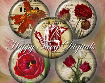 Vintage tulip illustration - 1.5", 1", 25 mm, 30 mm circles - digital collage sheet - 101 HFD  - Printable Download - Instant Download