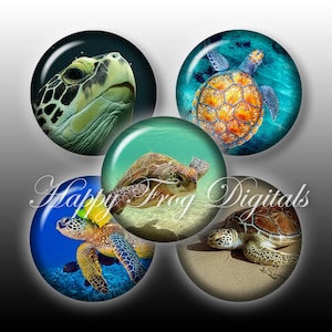 May include: Five round, colorful, glass coasters with images of sea turtles. The coasters feature different turtle species in various underwater settings.