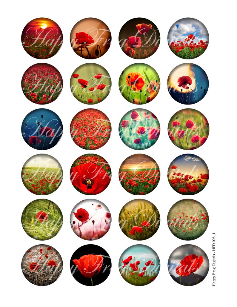 098 HFD Digital Collage Sheet 18 Printable Download Poppy field 16 14 12 Instant Download 20 mm circles