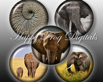 Elephants - 1.5", 1", 25 mm, 30 mm circles - Digital Collage Sheet - 185 HFD - Printable Download - Instant Download