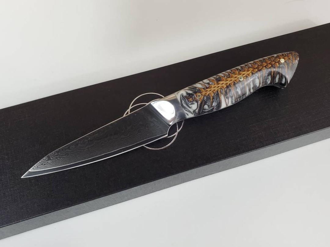 Custom VG10 Damascus Chef knife set turquoise pine cone resin