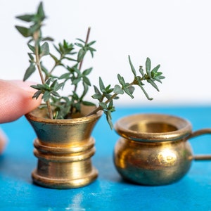 May include: A miniature brass mortar and pestle with a sprig of thyme, next to a small brass cup. The mortar is filled with the green herb. The objects are on a blue surface with a white background.