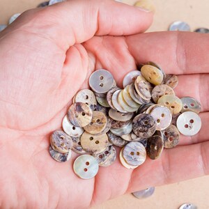 May include: A pile of brown and white shell buttons in a hand. The buttons have two holes each.